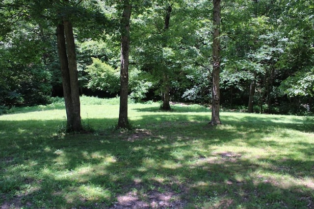 3841 Tall Oaks Ln, Harrison, AR 72601 - photo 6