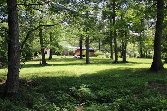 3841 Tall Oaks Ln, Harrison, AR 72601 - photo 12