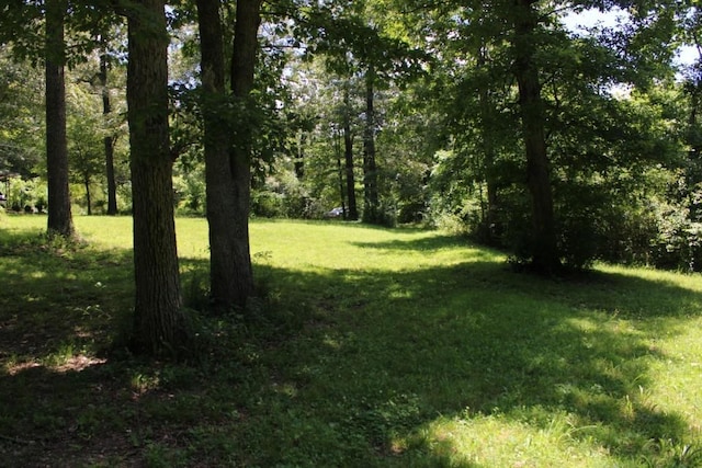 3841 Tall Oaks Ln, Harrison, AR 72601 - photo 41