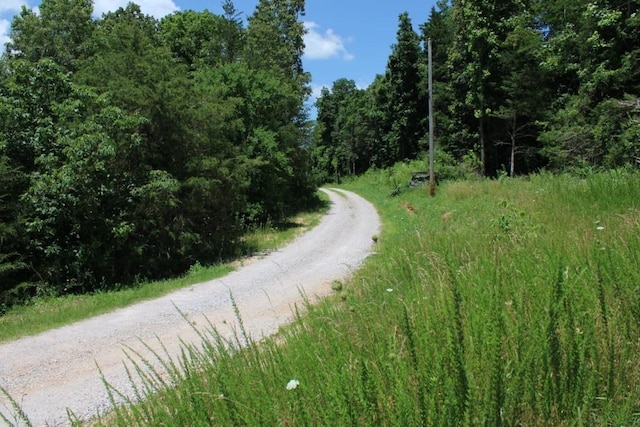 3841 Tall Oaks Ln, Harrison, AR 72601 - photo 43