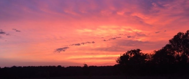 2482 Rocky Comfort Rd, Gentry, AR 72734
