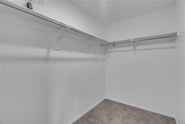 1405 Corsac St, Siloam Springs, AR 72761 - walk in closet featuring carpet floors