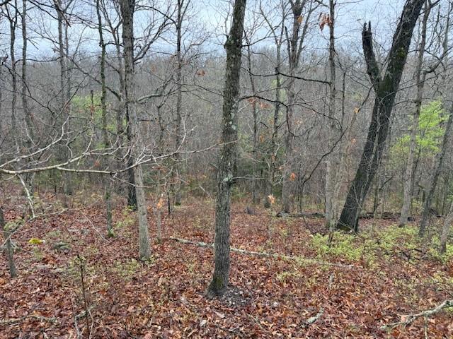 Lookout Dr, Bella Vista, AR 72714 - photo 3
