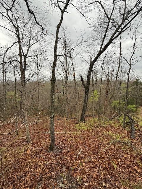 Lookout Dr, Bella Vista, AR 72714 - photo 4