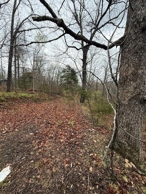 Lookout Dr, Bella Vista, AR 72714 - photo 5