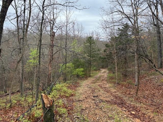 Lookout Dr, Bella Vista, AR 72714 - photo 6