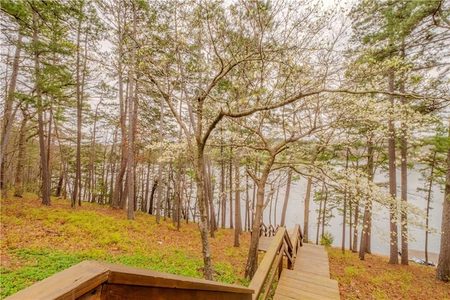 44 Devizis Dr, Bella Vista, AR 72714 - view of yard
