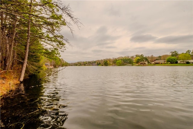 44 Devizis Dr, Bella Vista, AR 72714 - water view