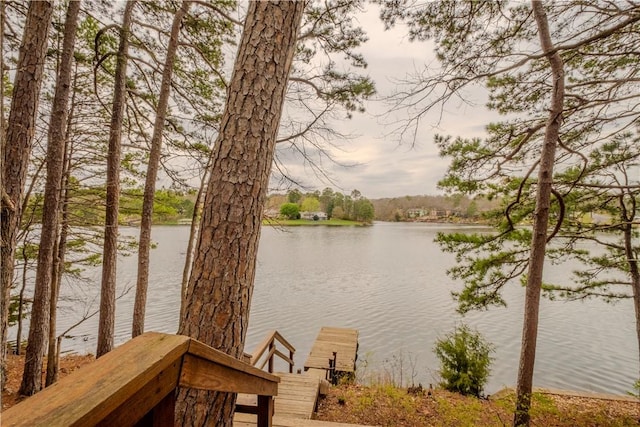 44 Devizis Dr, Bella Vista, AR 72714 - water view with a dock