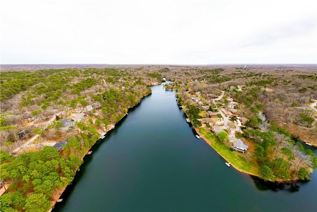 44 Devizis Dr, Bella Vista, AR 72714 - aerial overview of property's location with a nearby body of water