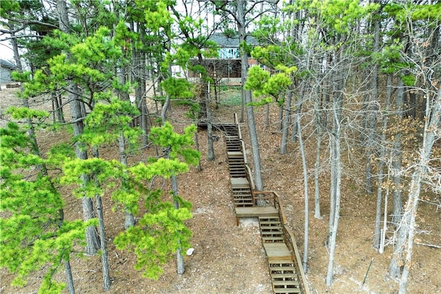 44 Devizis Dr, Bella Vista, AR 72714 - view of yard featuring stairway