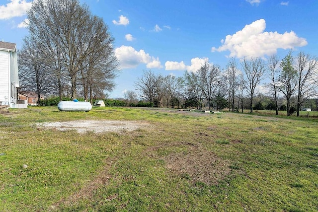 188 Lonestar Rd, Anderson, MO 64831 - view of yard