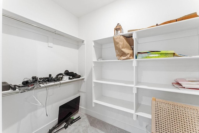 spacious closet with light carpet