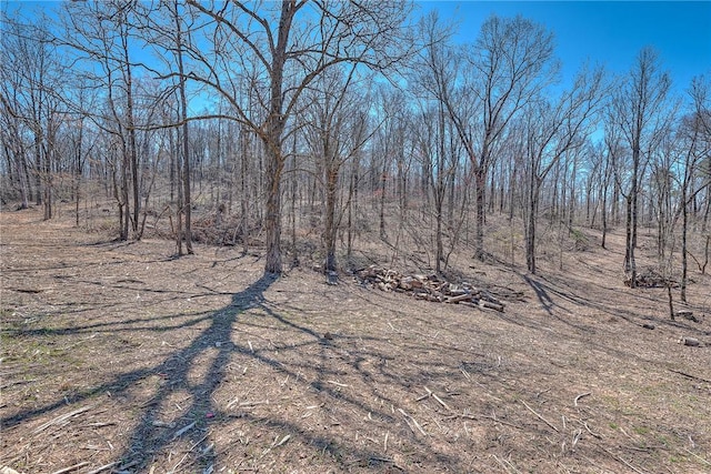 TBD Madison 4423, Combs, AR 72721 - photo 6