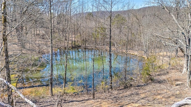 TBD Madison 4423, Combs, AR 72721 - photo 3