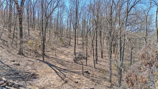 TBD Madison 4423, Combs, AR 72721 - photo 8