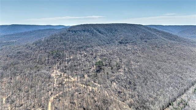 TBD Madison 4423, Combs, AR 72721 - photo 12