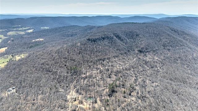 TBD Madison 4423, Combs, AR 72721 - photo 16