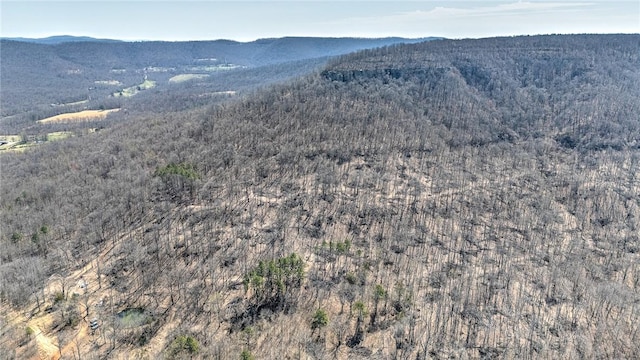 TBD Madison 4423, Combs, AR 72721 - photo 17
