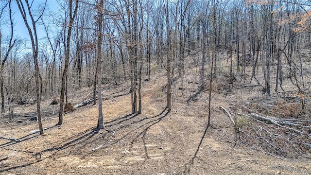 TBD Madison 4423, Combs, AR 72721 - photo 7