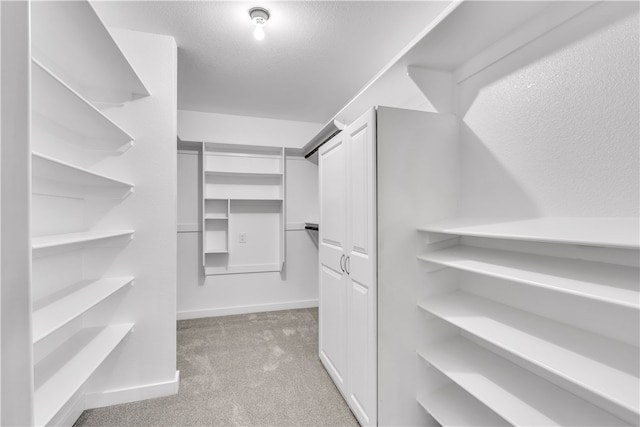17225 Featherstone Trl, Gentry, AR 72734 - spacious closet featuring carpet