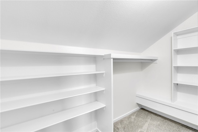 17225 Featherstone Trl, Gentry, AR 72734 - spacious closet with carpet floors and lofted ceiling