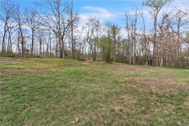 17225 Featherstone Trl, Gentry, AR 72734 - view of yard