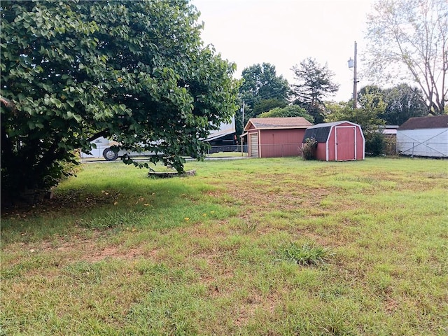 1003 Freeman Ave, Berryville, AR 72616 - view of grassy yard