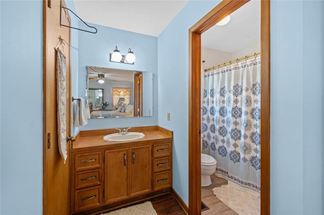 2230 Reed Ave, Springdale, AR 72764 - bathroom with toilet, a shower with shower curtain, wood finished floors, and vanity