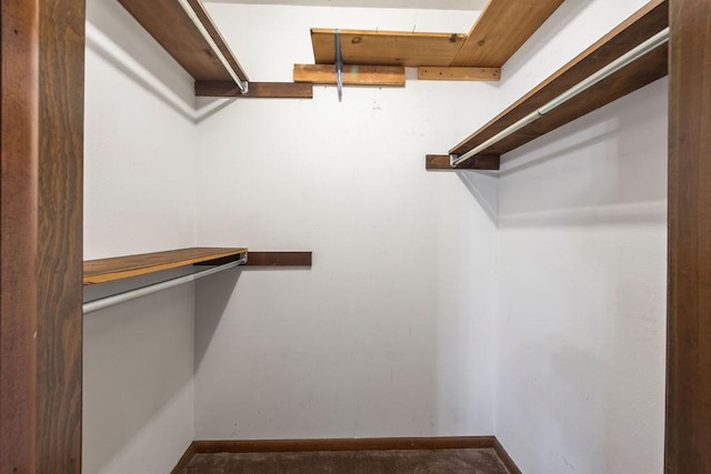 3906 Chapman Ave, Springdale, AR 72762 - view of spacious closet
