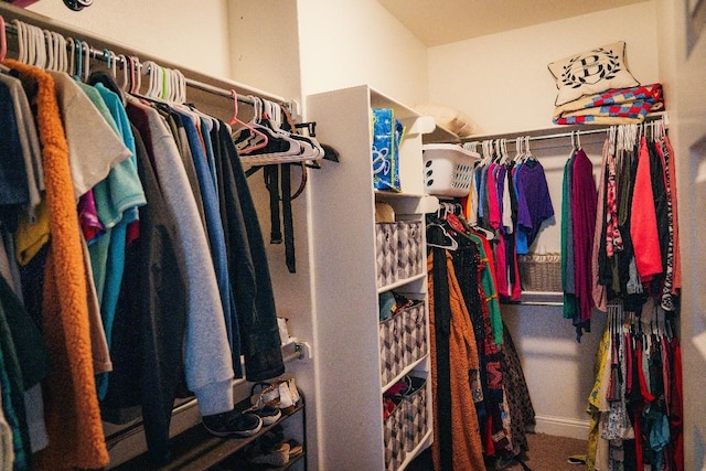 view of walk in closet