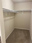 817 Evans Cir, Bentonville, AR 72713 - view of walk in closet