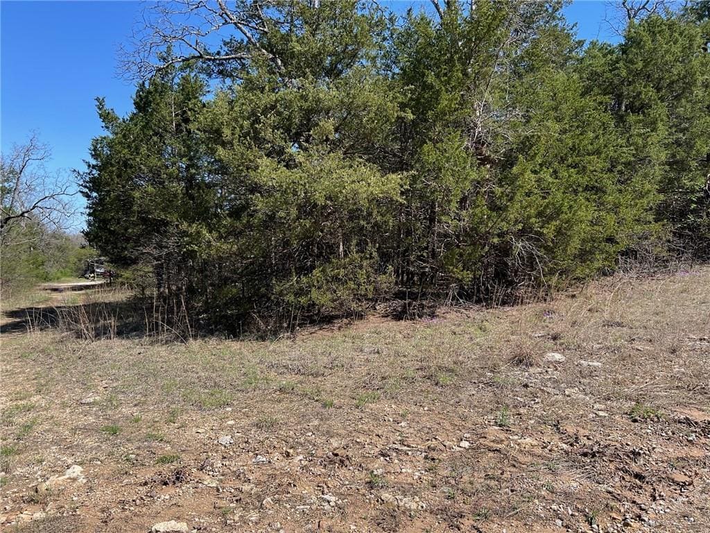 LOT23 Elm St, Diamond City, AR 72644 - photo 1
