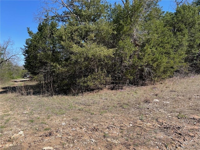 LOT23 Elm St, Diamond City, AR 72644 - photo 1