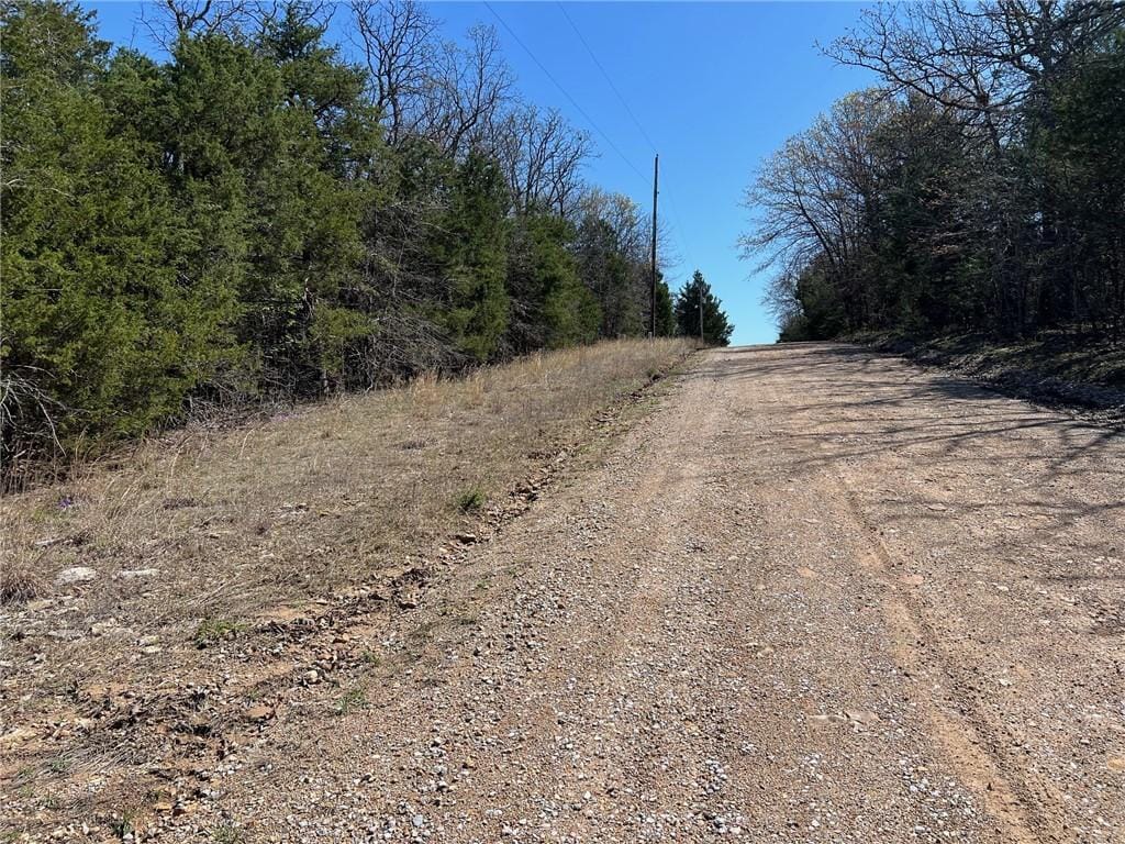 LOT23 Elm St, Diamond City, AR 72644 - photo 2