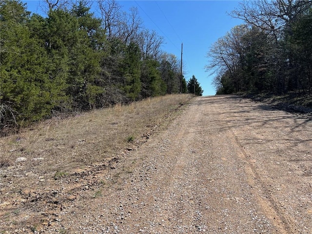 LOT23 Elm St, Diamond City, AR 72644 - photo 2
