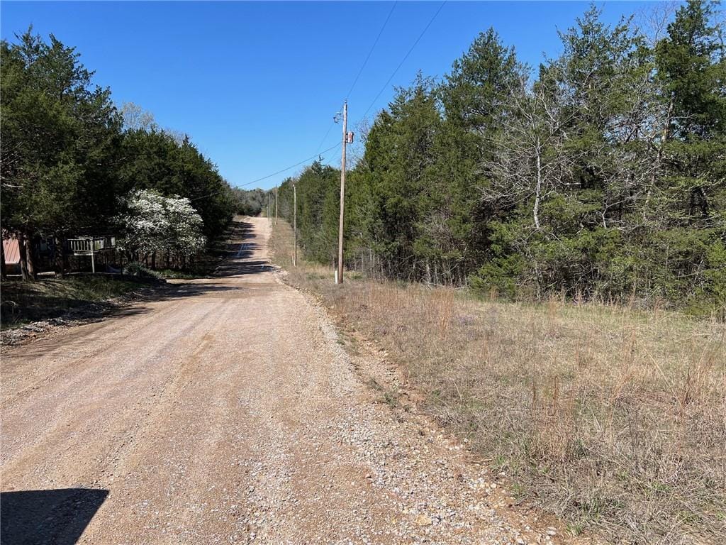 LOT23 Elm St, Diamond City, AR 72644 - photo 3