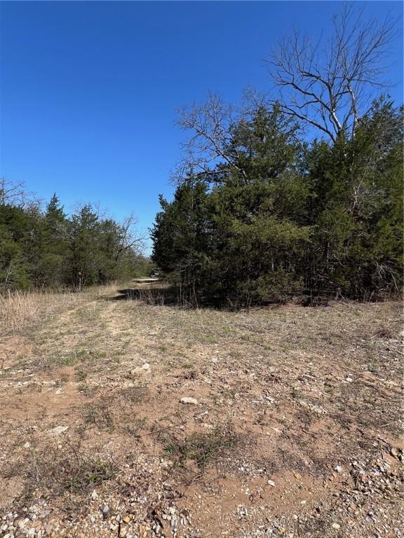 LOT23 Elm St, Diamond City, AR 72644 - photo 4