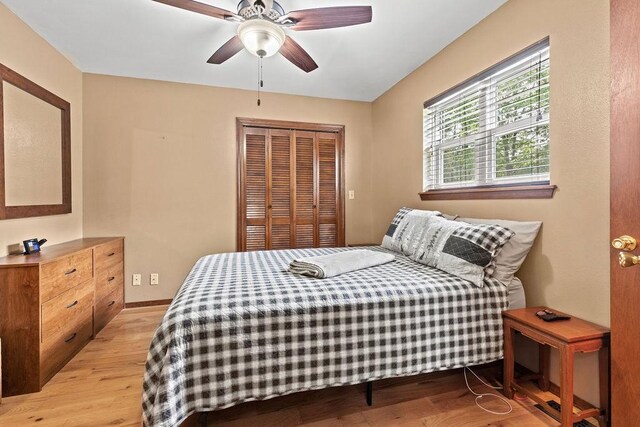 31 Marion County 8017, Peel, AR 72668 - photo 17