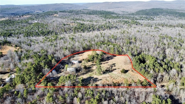 124 Oxley Rd, Leslie, AR 72645 - photo 20