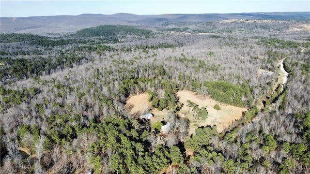 124 Oxley Rd, Leslie, AR 72645 - photo 3