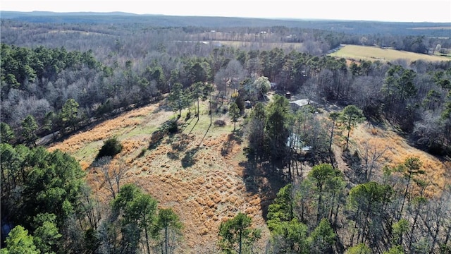 124 Oxley Rd, Leslie, AR 72645 - photo 9