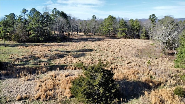 124 Oxley Rd, Leslie, AR 72645 - photo 11
