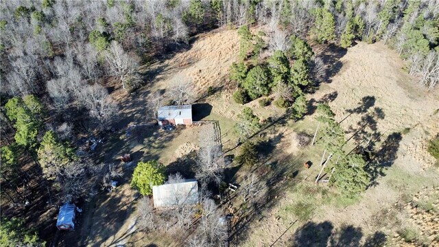 124 Oxley Rd, Leslie, AR 72645 - photo 13