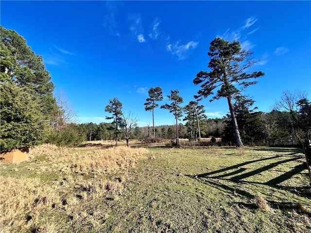 124 Oxley Rd, Leslie, AR 72645 - photo 5