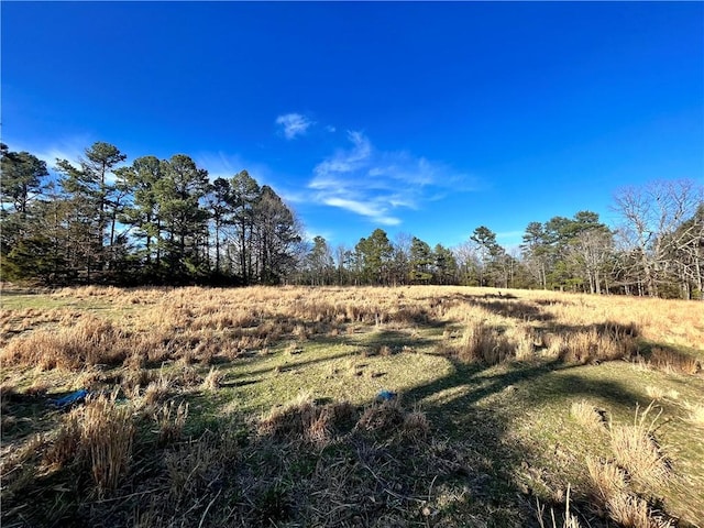 124 Oxley Rd, Leslie, AR 72645 - photo 15