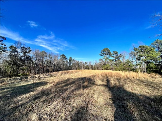 124 Oxley Rd, Leslie, AR 72645 - photo 4