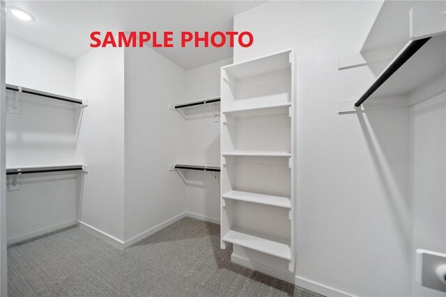 walk in closet with carpet floors
