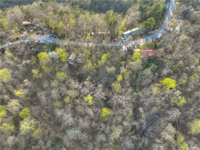 157XX Cottonwood Ln, Rogers, AR 72756 - photo 3