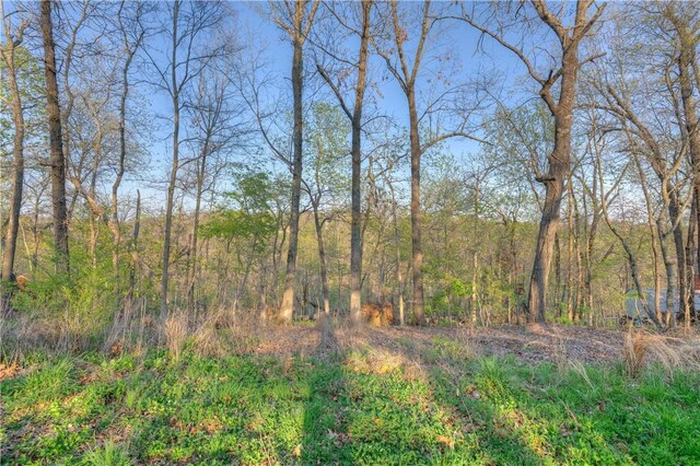 157XX Cottonwood Ln, Rogers, AR 72756 - photo 4